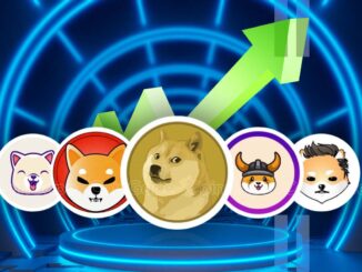 Beste Meme Coins ; DOGE ,SHIB ,FLOKI