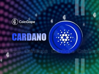 Cardano expandiert mit Einführung des NIGHT-Tokens