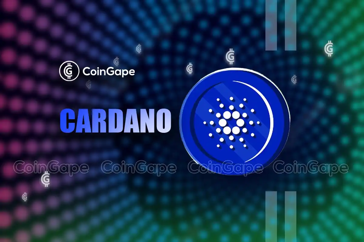 Cardano expandiert mit Einführung des NIGHT-Tokens