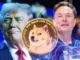 Dogecoin rises by 25